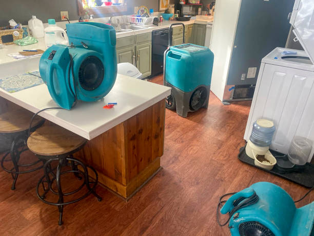 Best Commercial water damage restoration  in Centre, AL