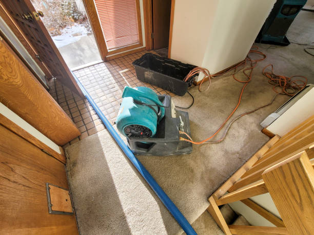 Reliable Centre, AL Water damage restoration Solutions