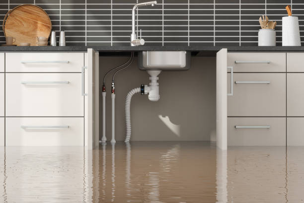 Best Residential water damage restoration  in Centre, AL